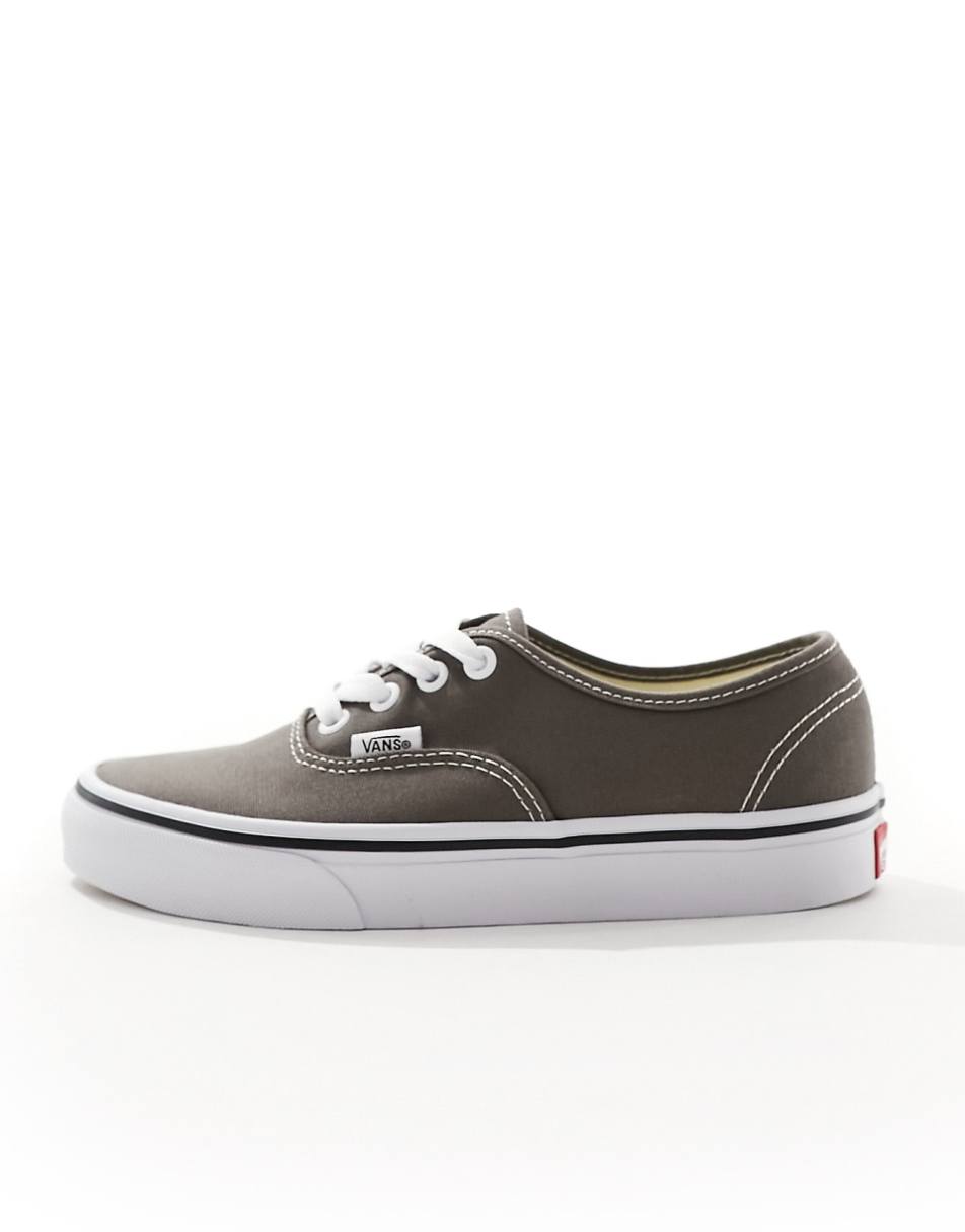 Vans Authentic Color Theory sneakers in gray